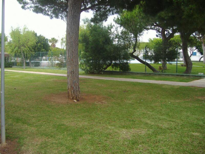Playa De La Barrosa La Almadraba IV Fase "Interior" B-3 Διαμέρισμα Chiclana de la Frontera Εξωτερικό φωτογραφία